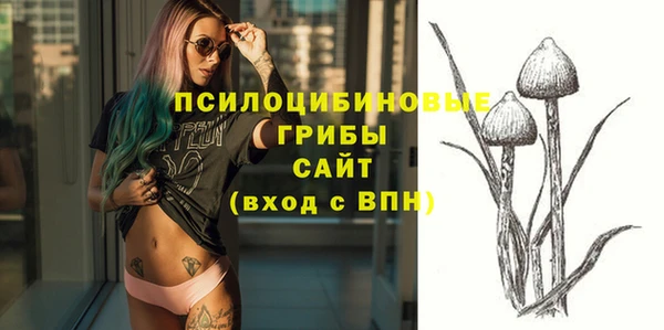 твердый Верея