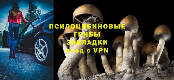 2c-b Верхний Тагил