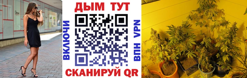 Конопля Bruce Banner Гаджиево